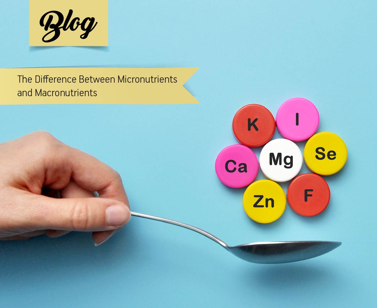 macronutrients-and-micronutrients-what-is-the-difference-and-why-do-we