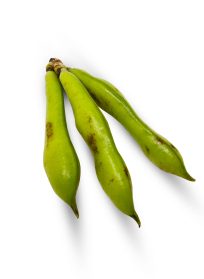 Fresh Broad Beans