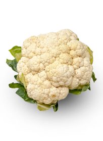 Κουνουπίδι