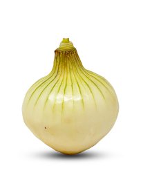 Κρεμμύδι Κεφαλές