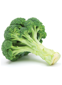 Μπρόκολο Εισαγωγής