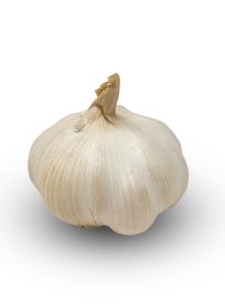 Garlic Imported