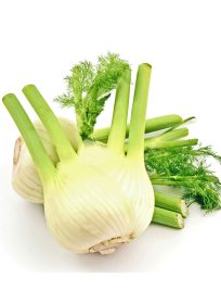 Φοινόκιο Κυπριακό