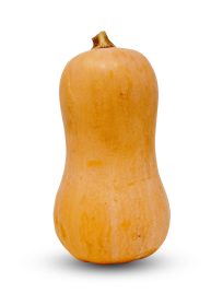 Κολοκύθια Pumpkins