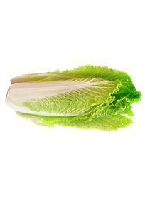 Λάχανο Κινέζικο Κυπριακό (Τεμάχιο)