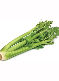 Celery Whole (Per Piece)