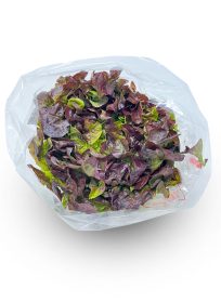 Oakleaf Κόκκινο (Τεμάχιο)