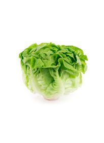 Butter Lettuce (Per Piece)