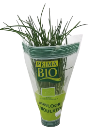 Σχοινοπρασο (Τεμάχιο)