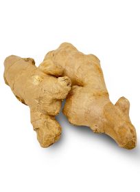 Ginger