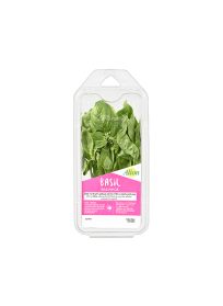 Alion Basil 30gr