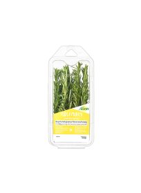 Alion Rosemary 30gr