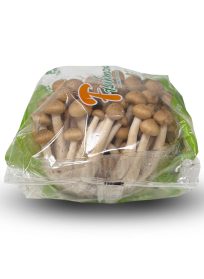 Μανιτάρια Shimeji 150gr