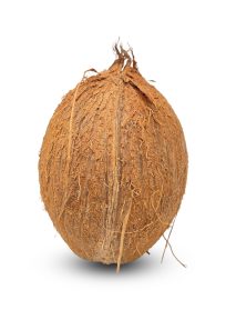 Coconut Imported