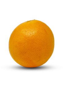 Red Grapefruit CY