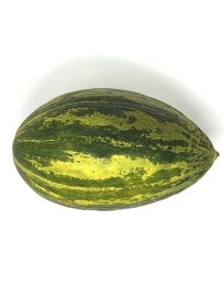 Καναρίνια Αργυρικα Κυπριακά