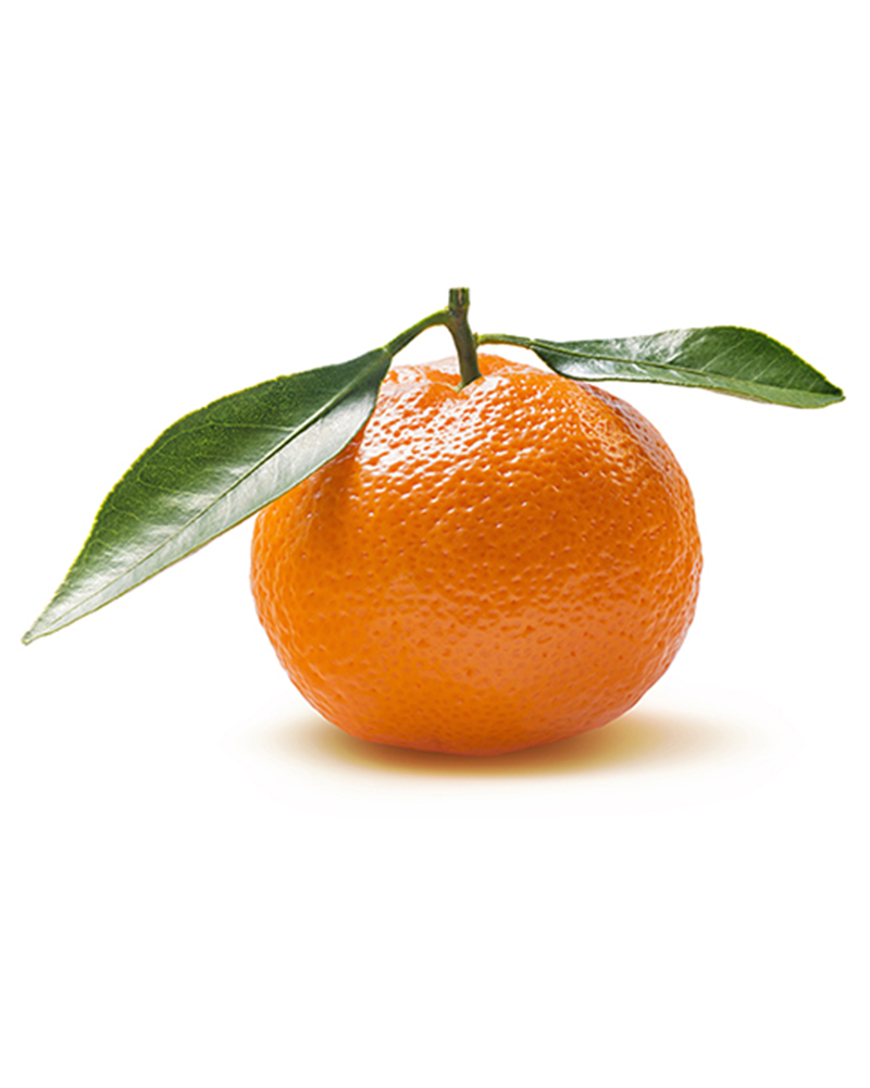 Κλημεντίνες Super