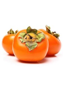 Λωτοί Εισαγωγής