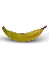 Banana Plantain