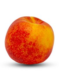 Nectarine Extra Imported