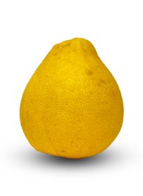 White Pomelo