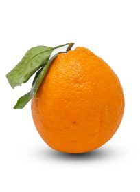 Πορτοκάλια Βαλενσια Super CY