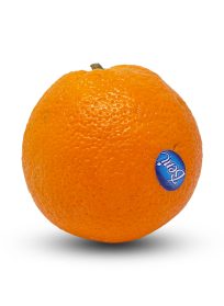 Πορτοκάλια Μερλιν Εισαγωγής
