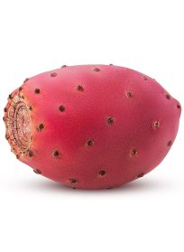 Prickly Pears Extra