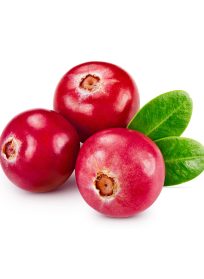 Κράνμπερι Εισαγωγής (Πακέτο)