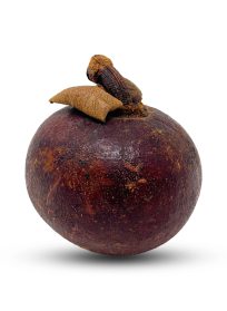 Mangosteen