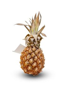Baby Pineapple Imported