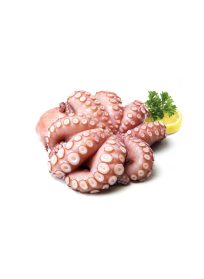 Octopus Flower IQF 1000-1500 Indonesia Premium Fao 57 (Per Kg)