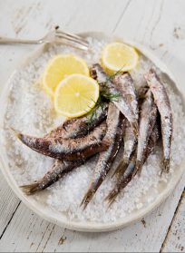 Γαύρος Παστός