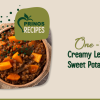 Creamy Lentil and Sweet Potato Stew