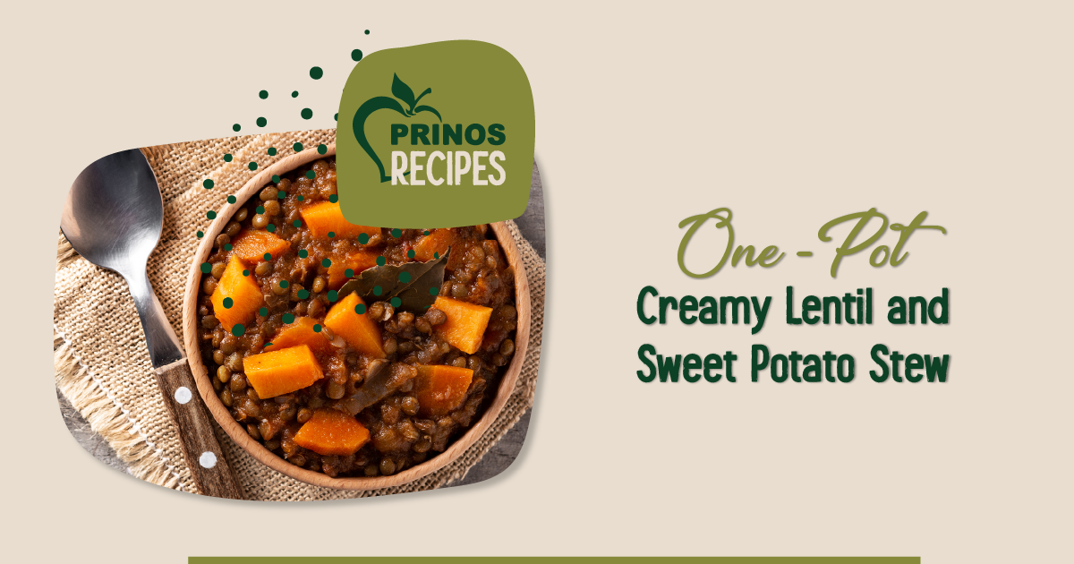Creamy Lentil and Sweet Potato Stew